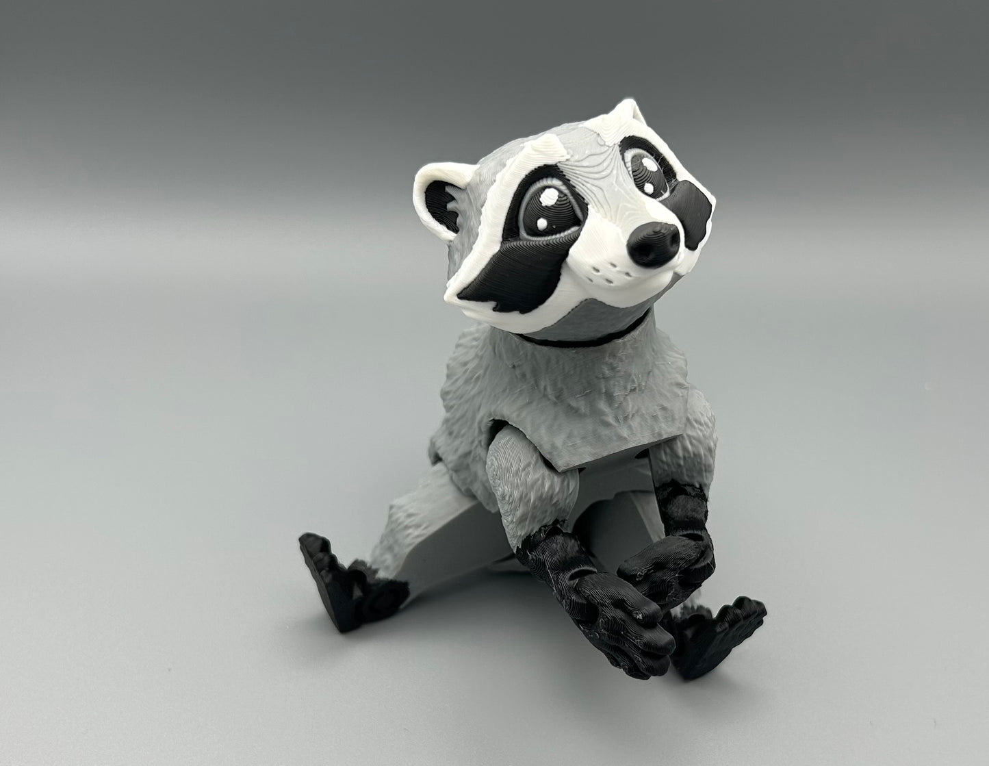 Raccoon