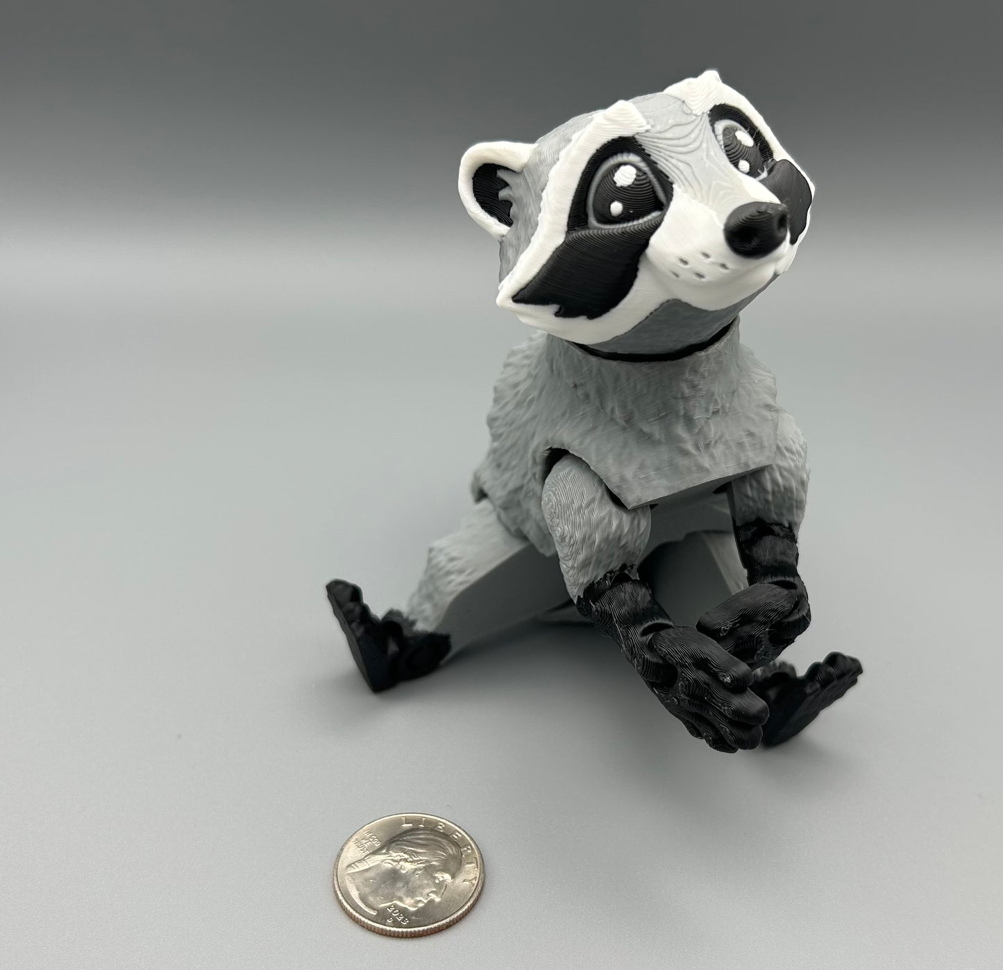 Raccoon