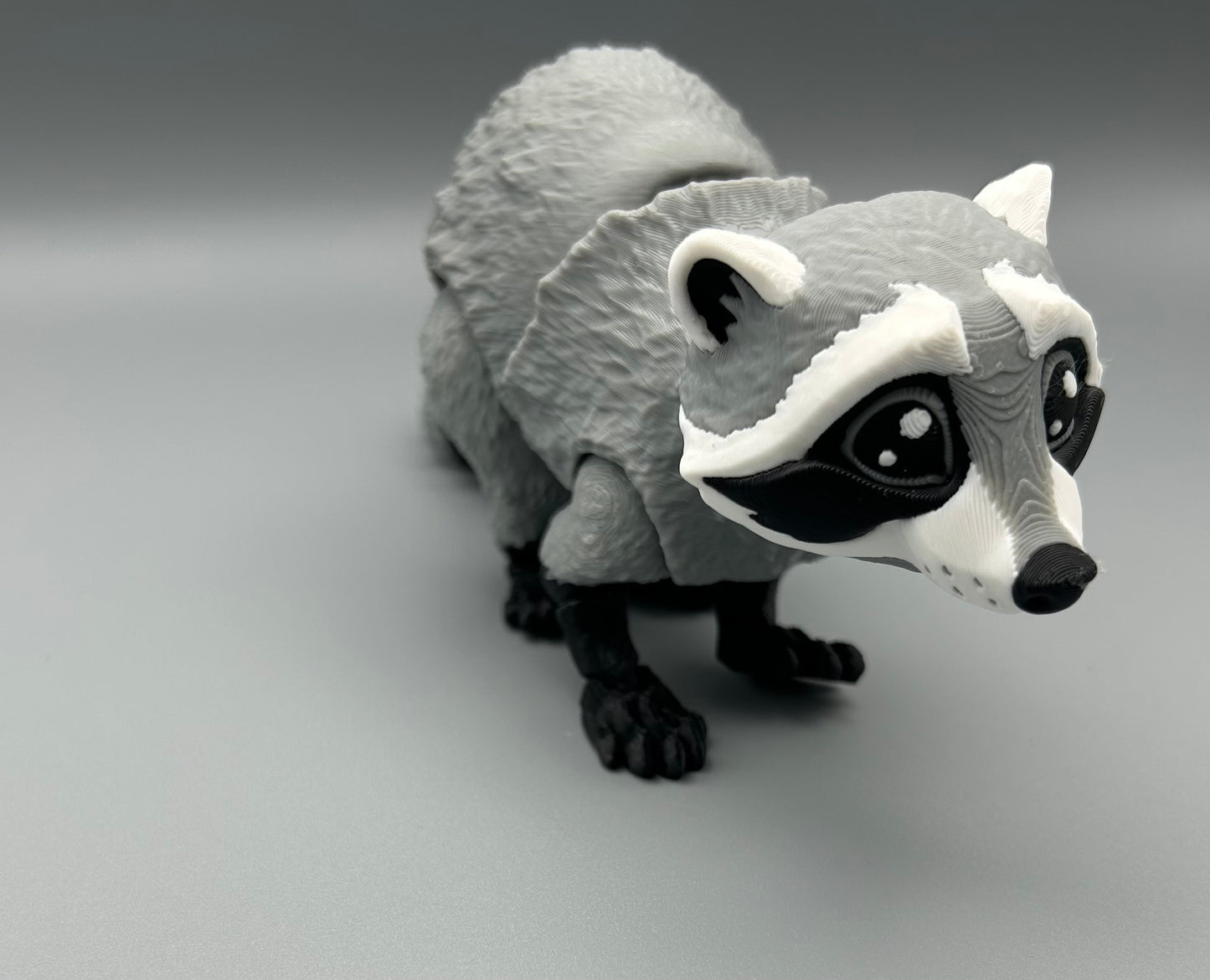 Raccoon