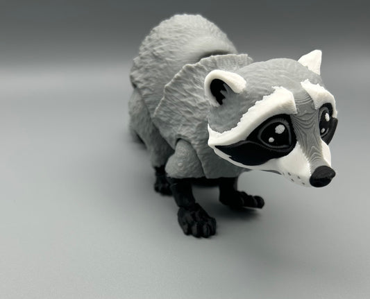 Raccoon