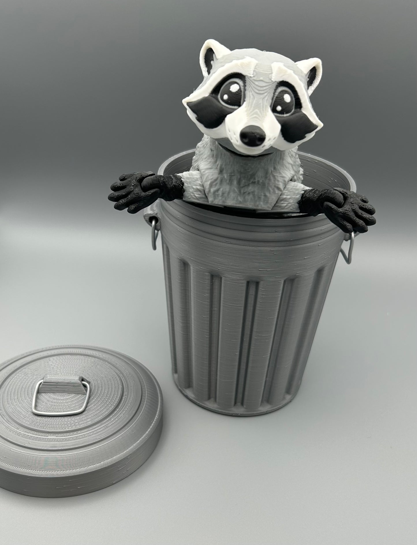 Raccoon