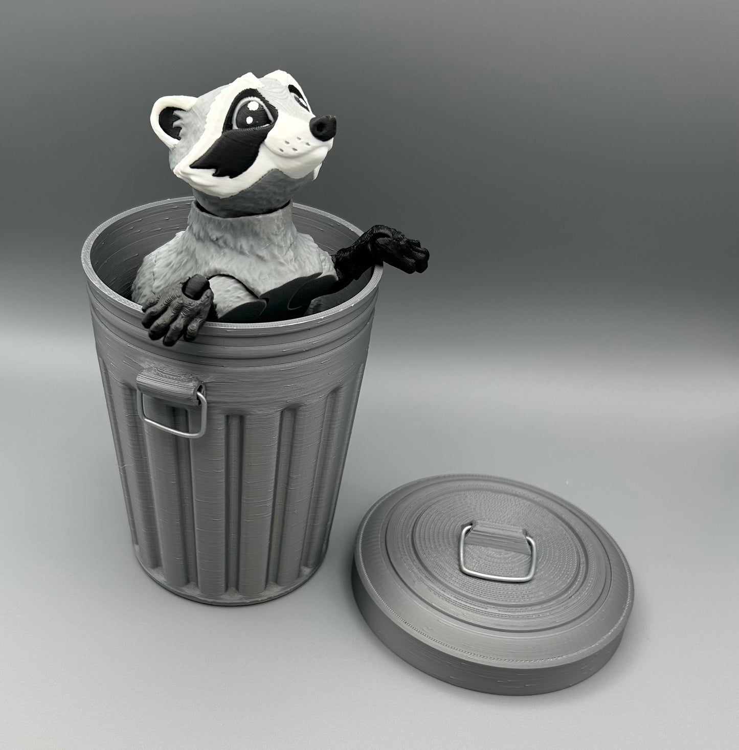 Raccoon
