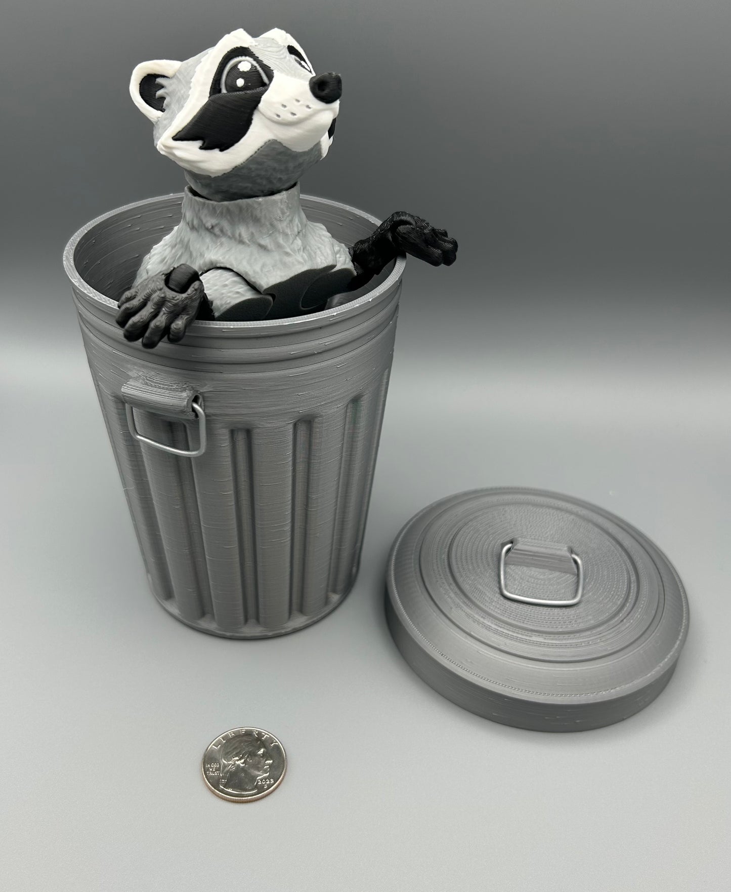 Raccoon