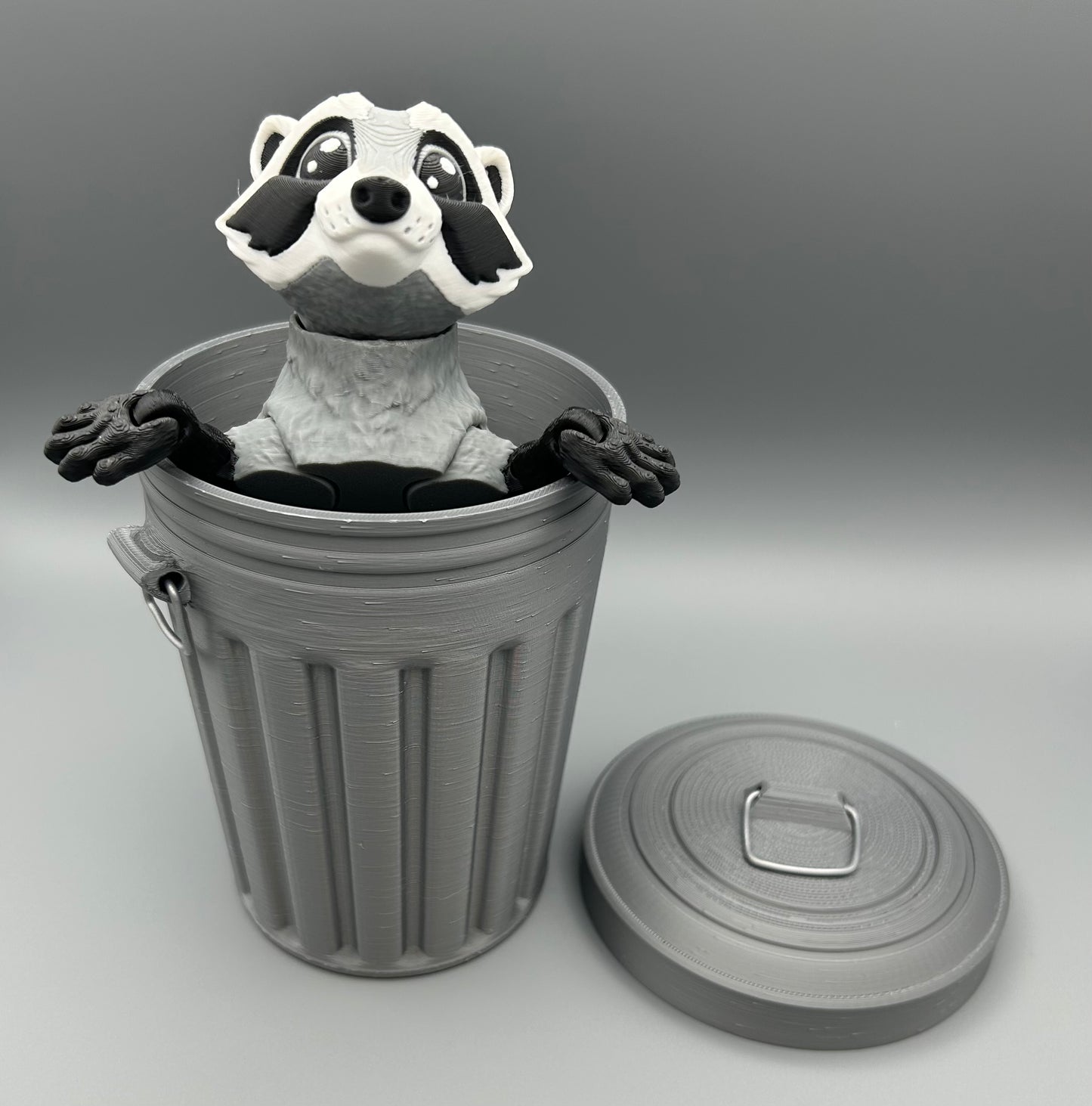 Raccoon