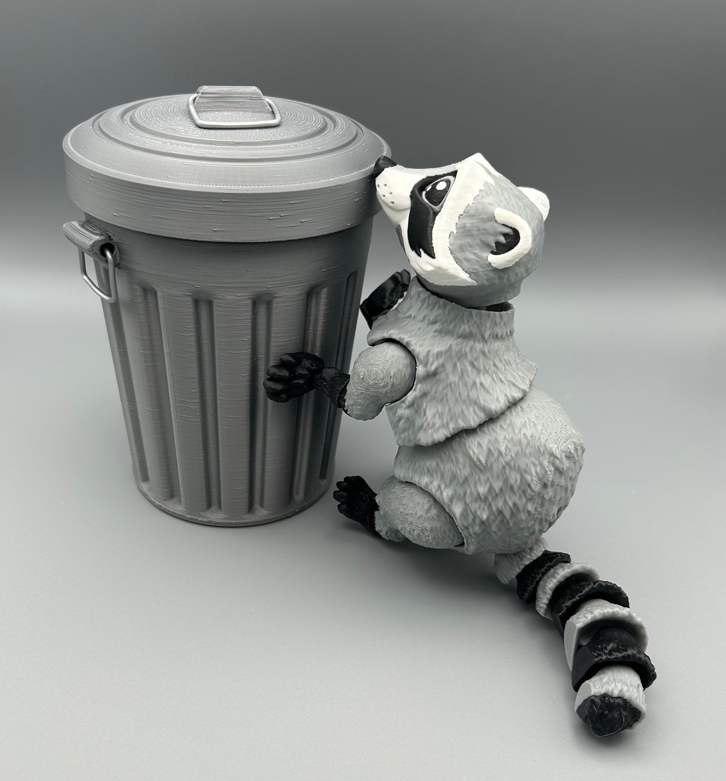 Raccoon