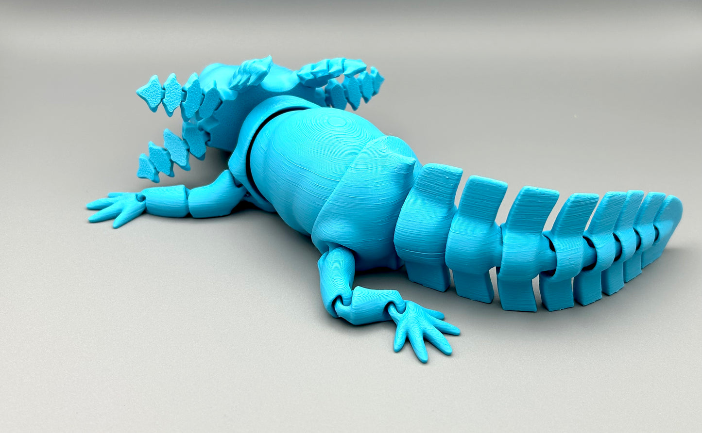 Axolotl