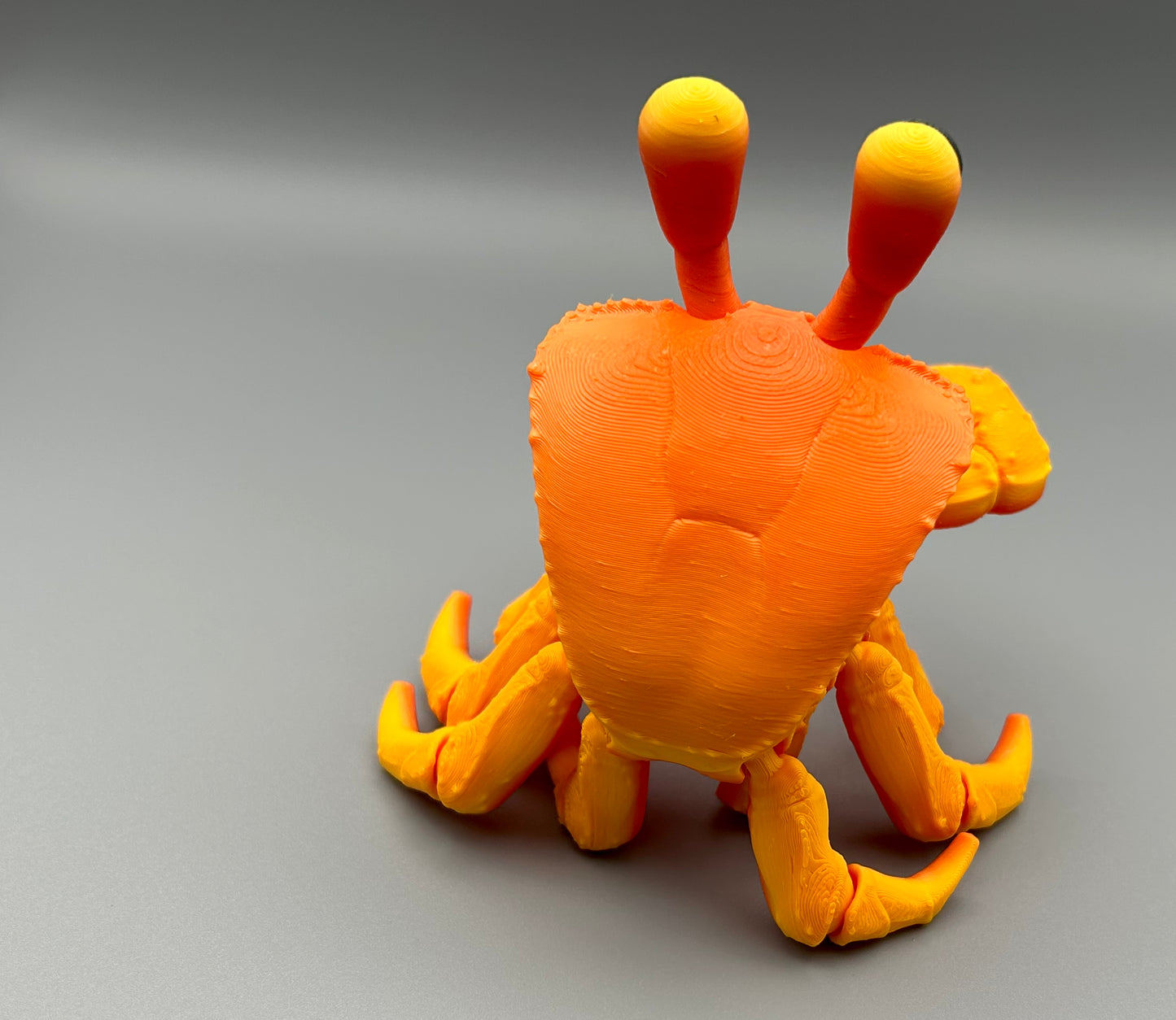 Ghost Crab