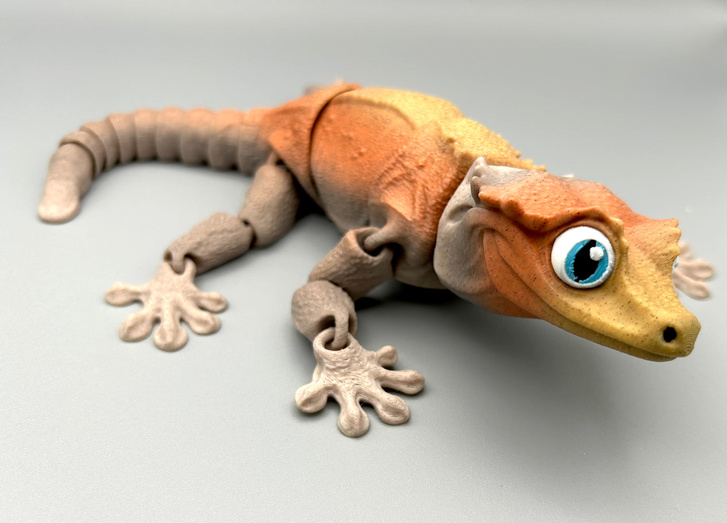Crested Gecko