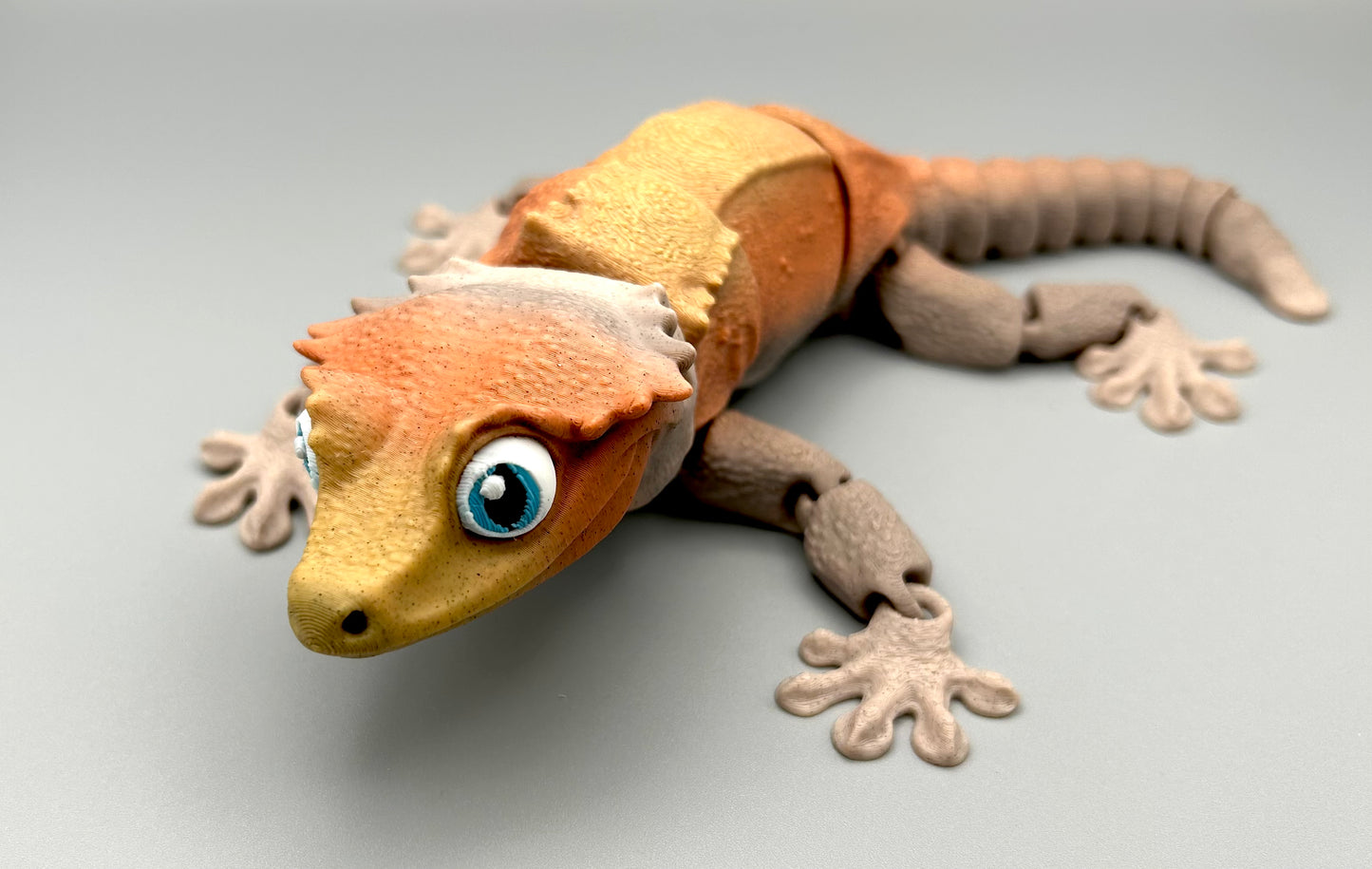 Crested Gecko