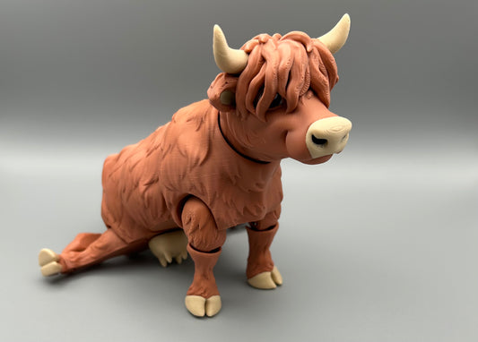 Highland Cow