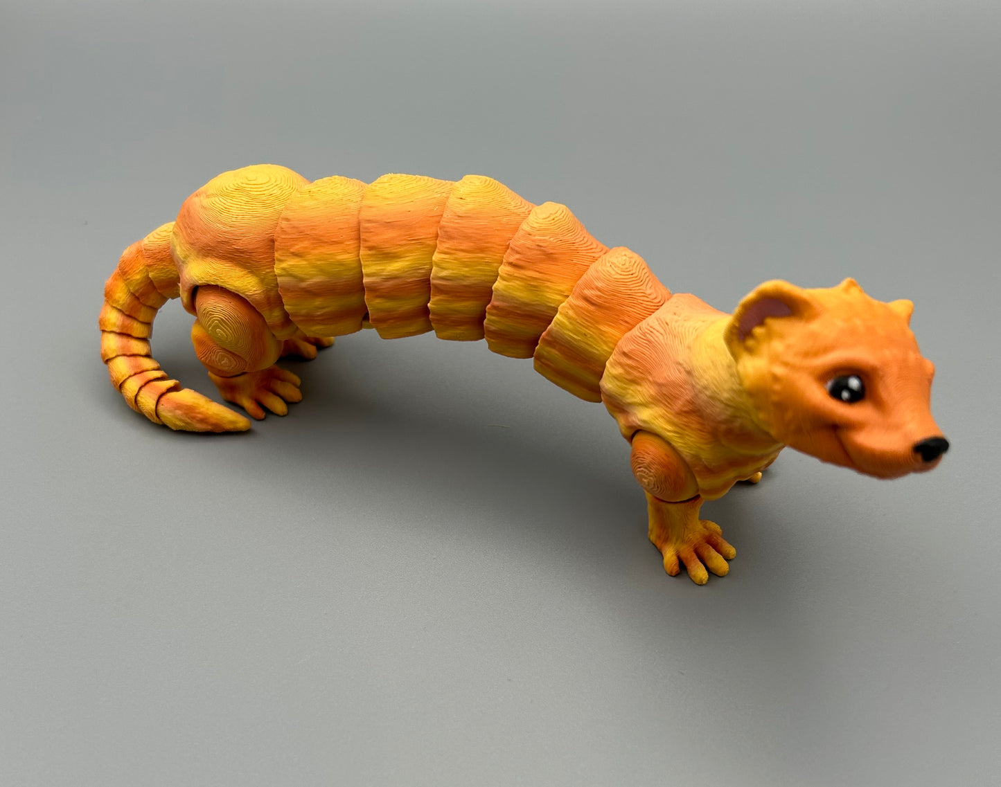 Ferret