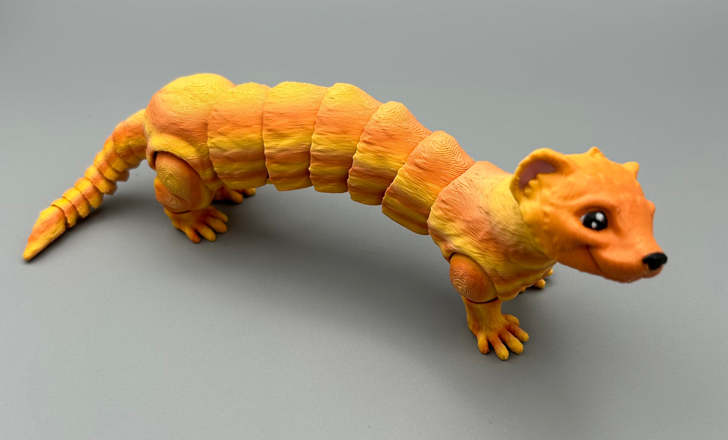 Ferret