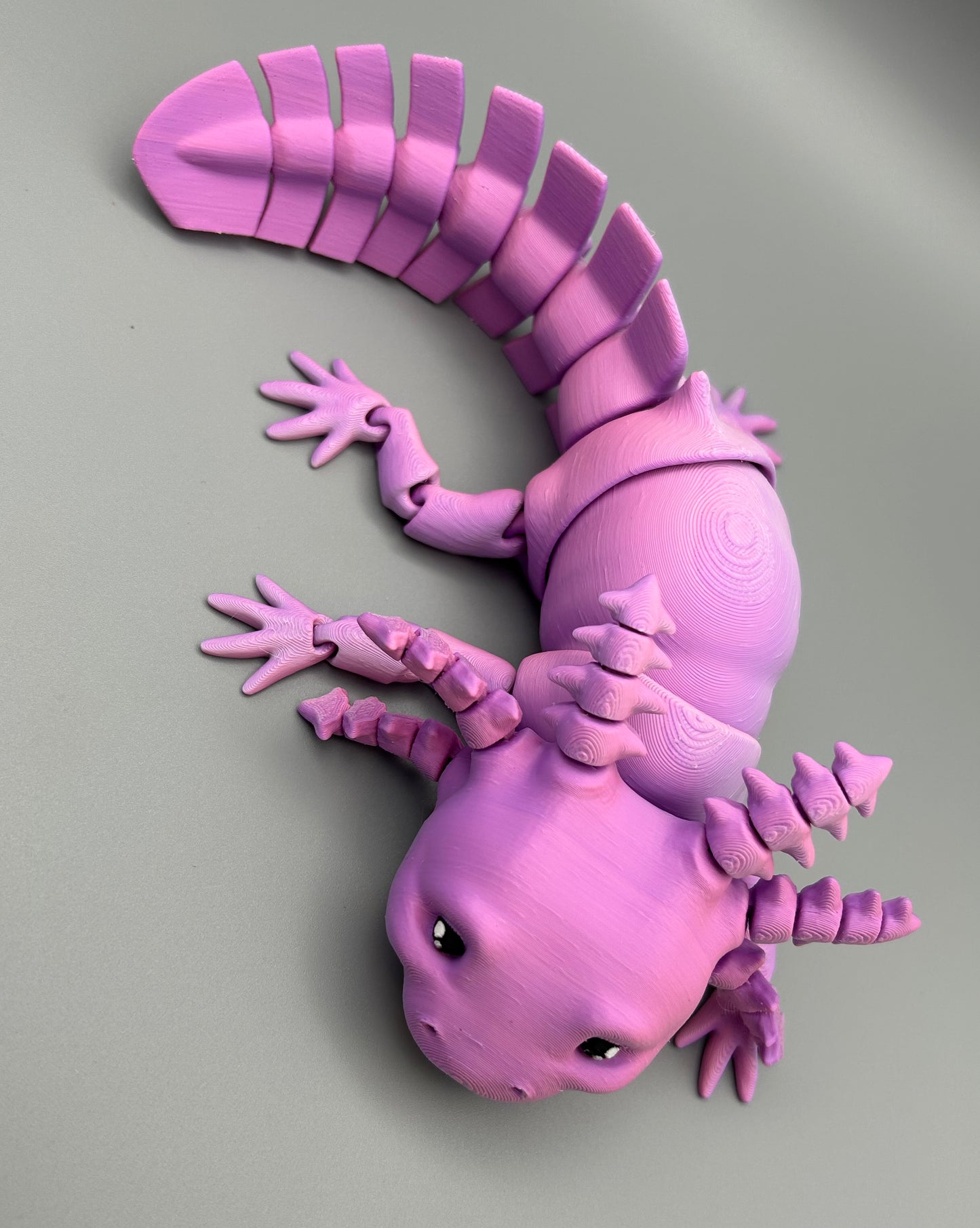 Axolotl