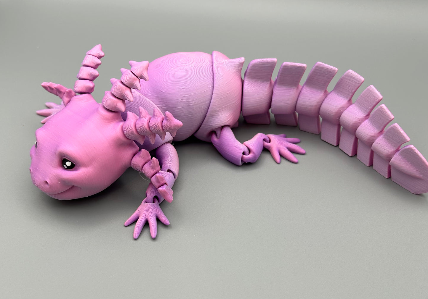 Axolotl