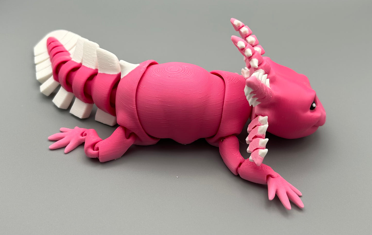 Axolotl