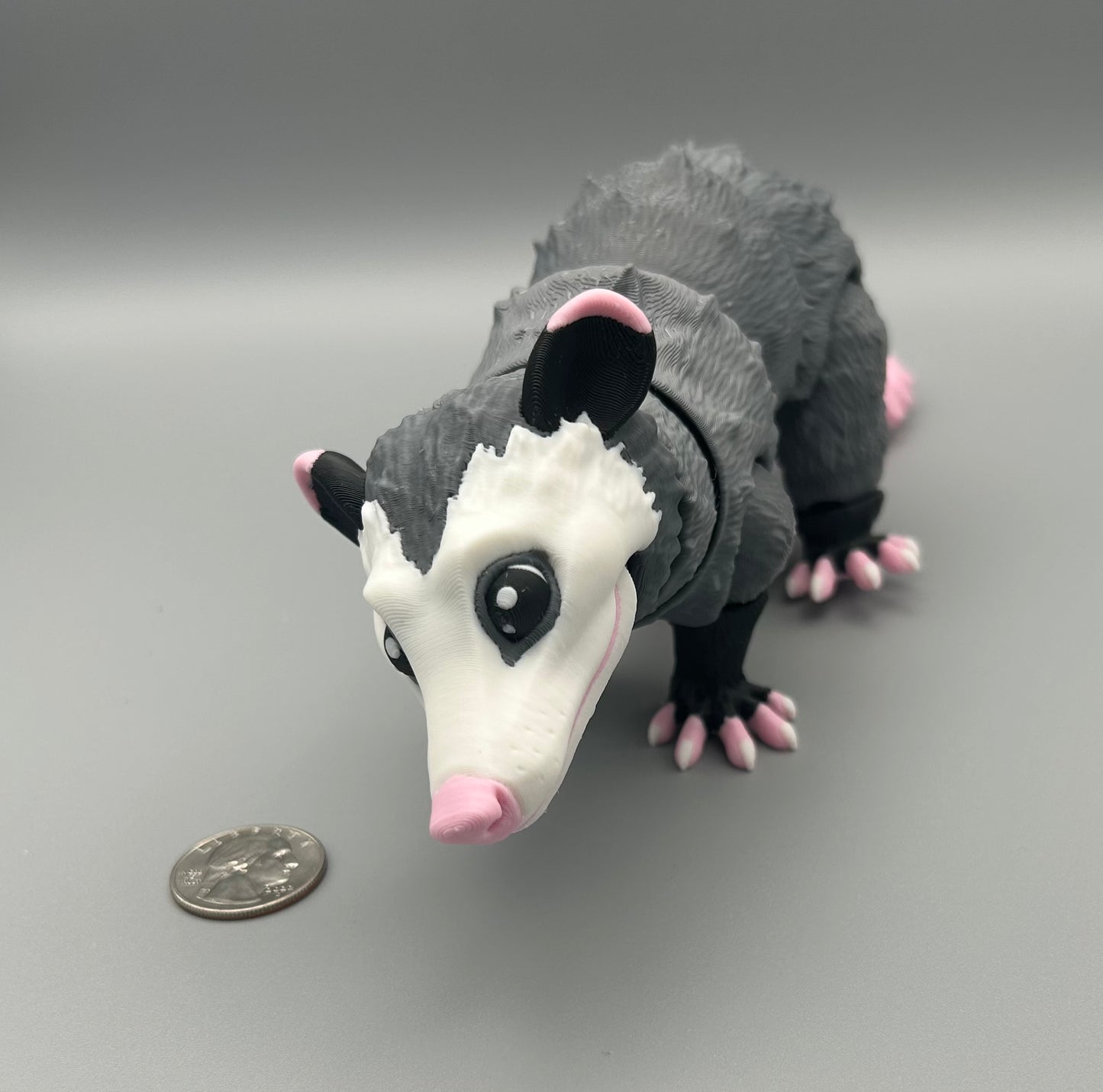 Opossum