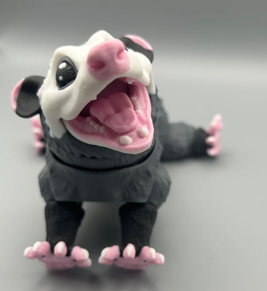Opossum