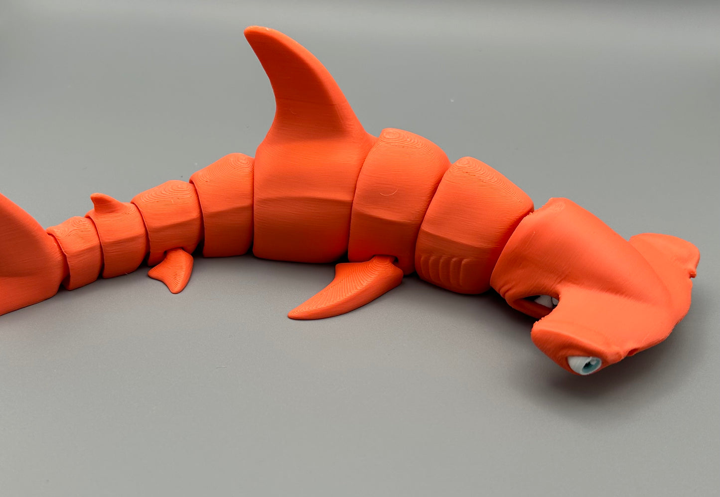 Hammer Head Shark