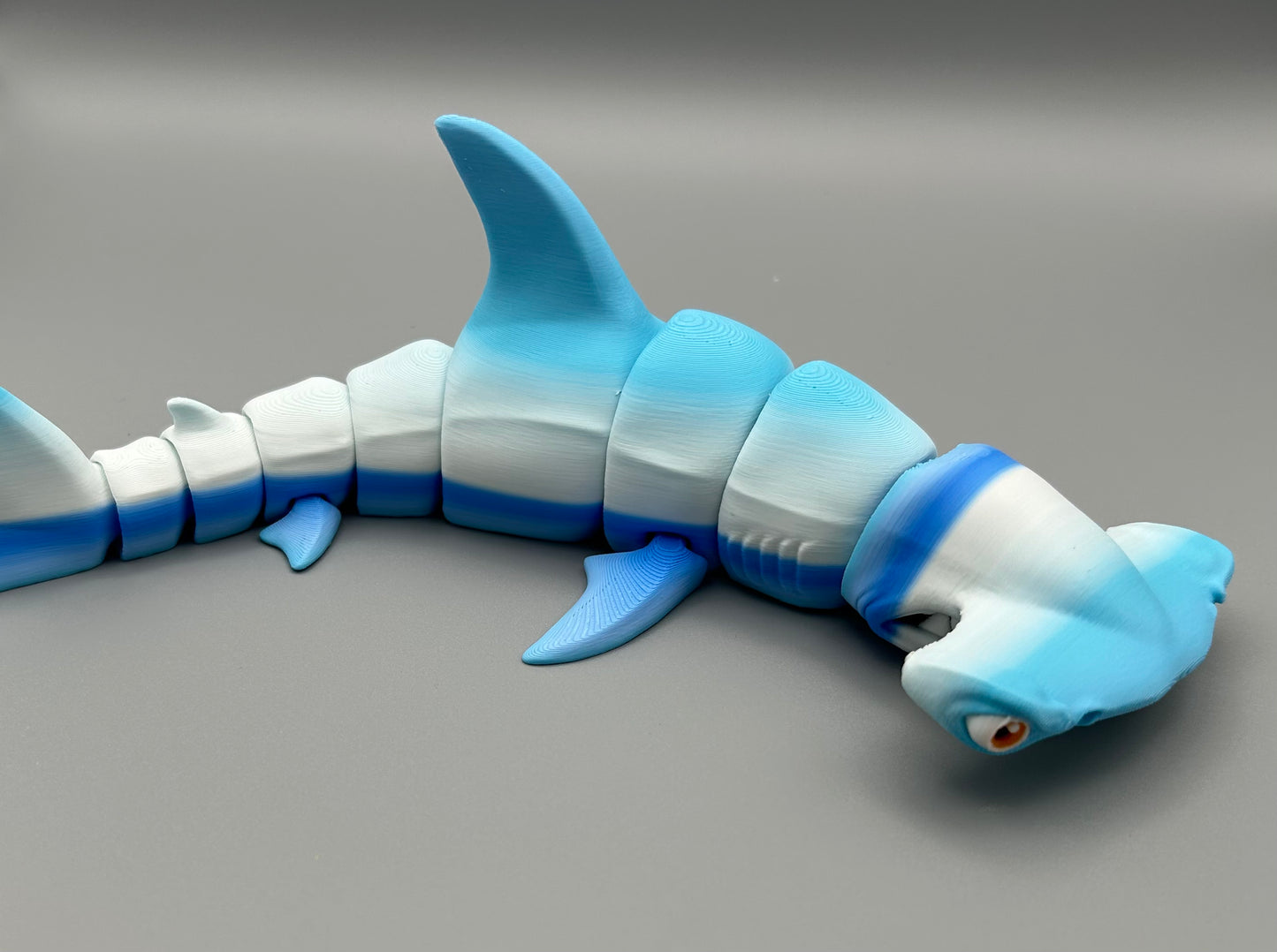 Hammer Head Shark