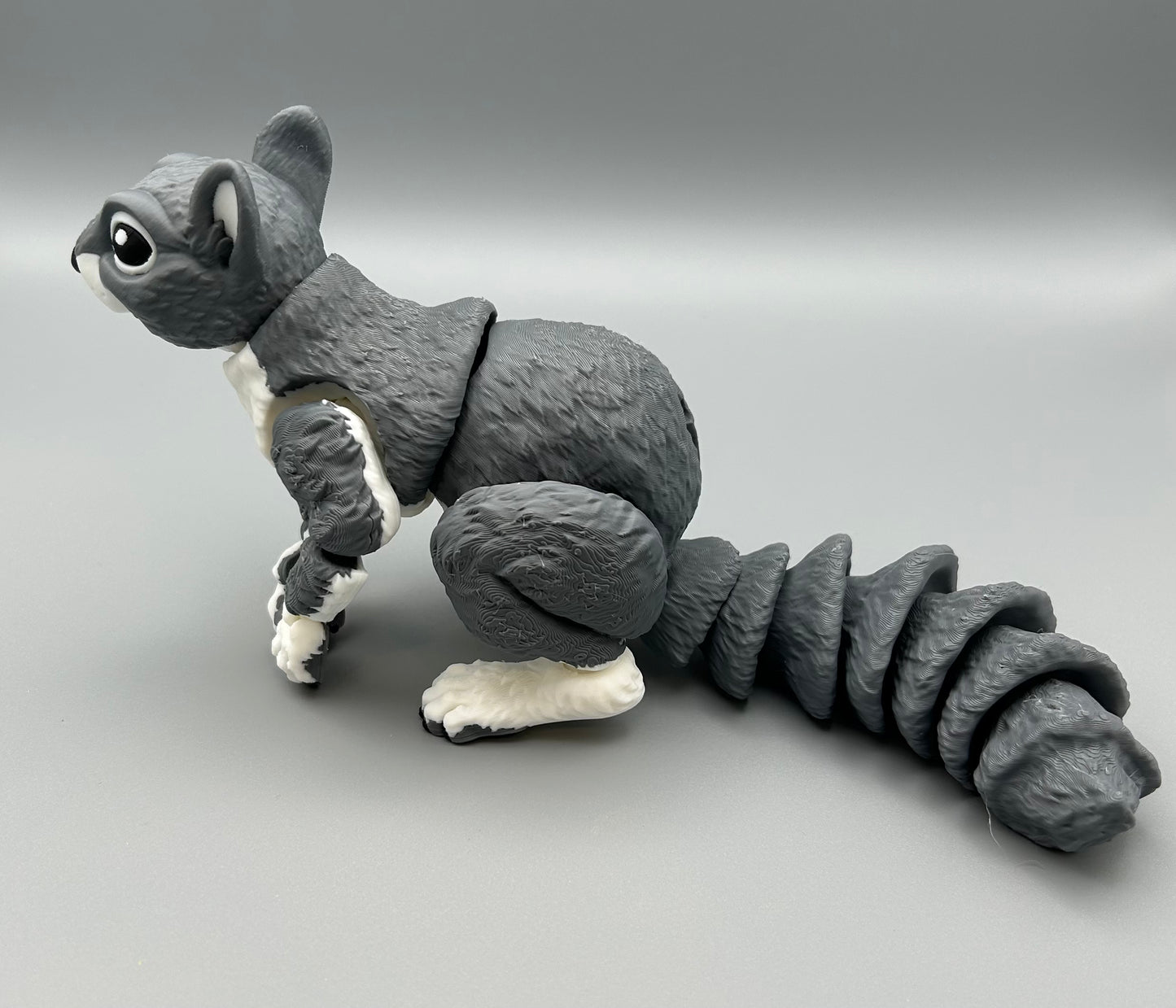 Squirrel