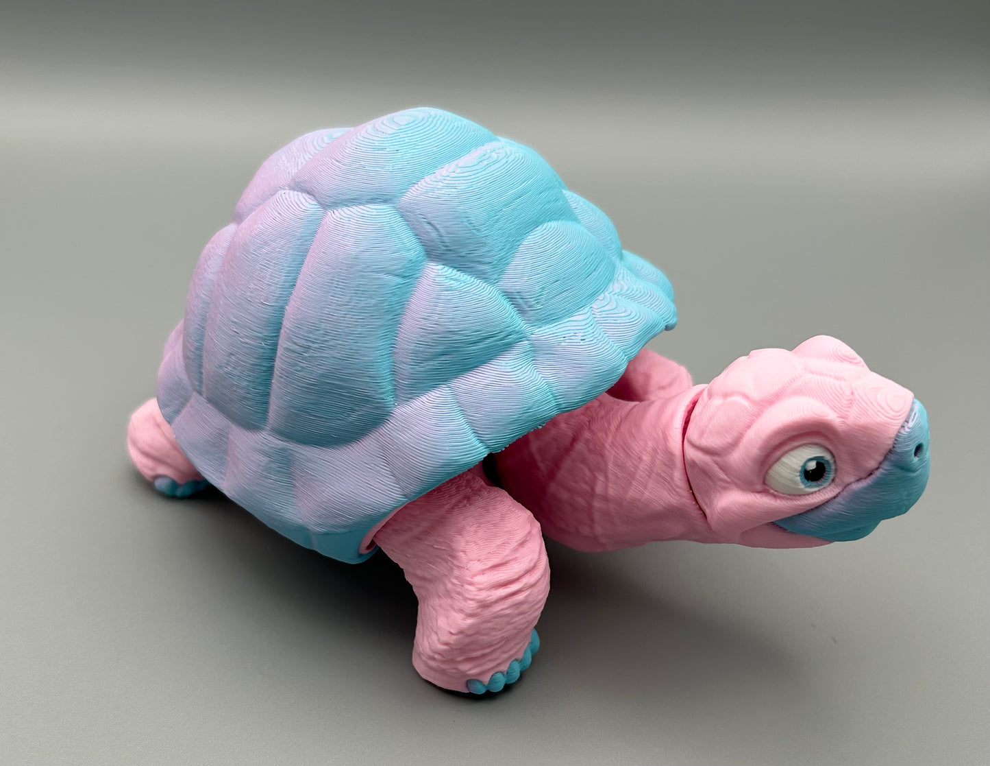 Tortoise