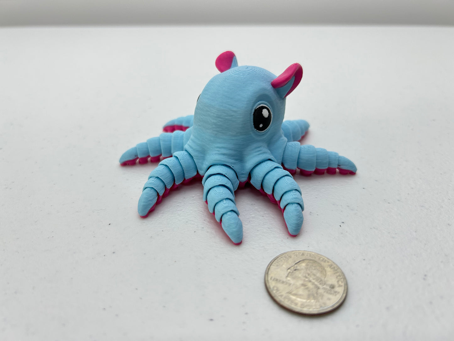 Flapjack Octopus