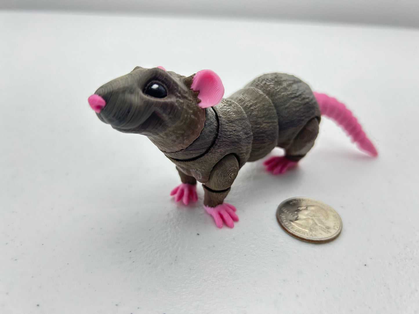 Rat