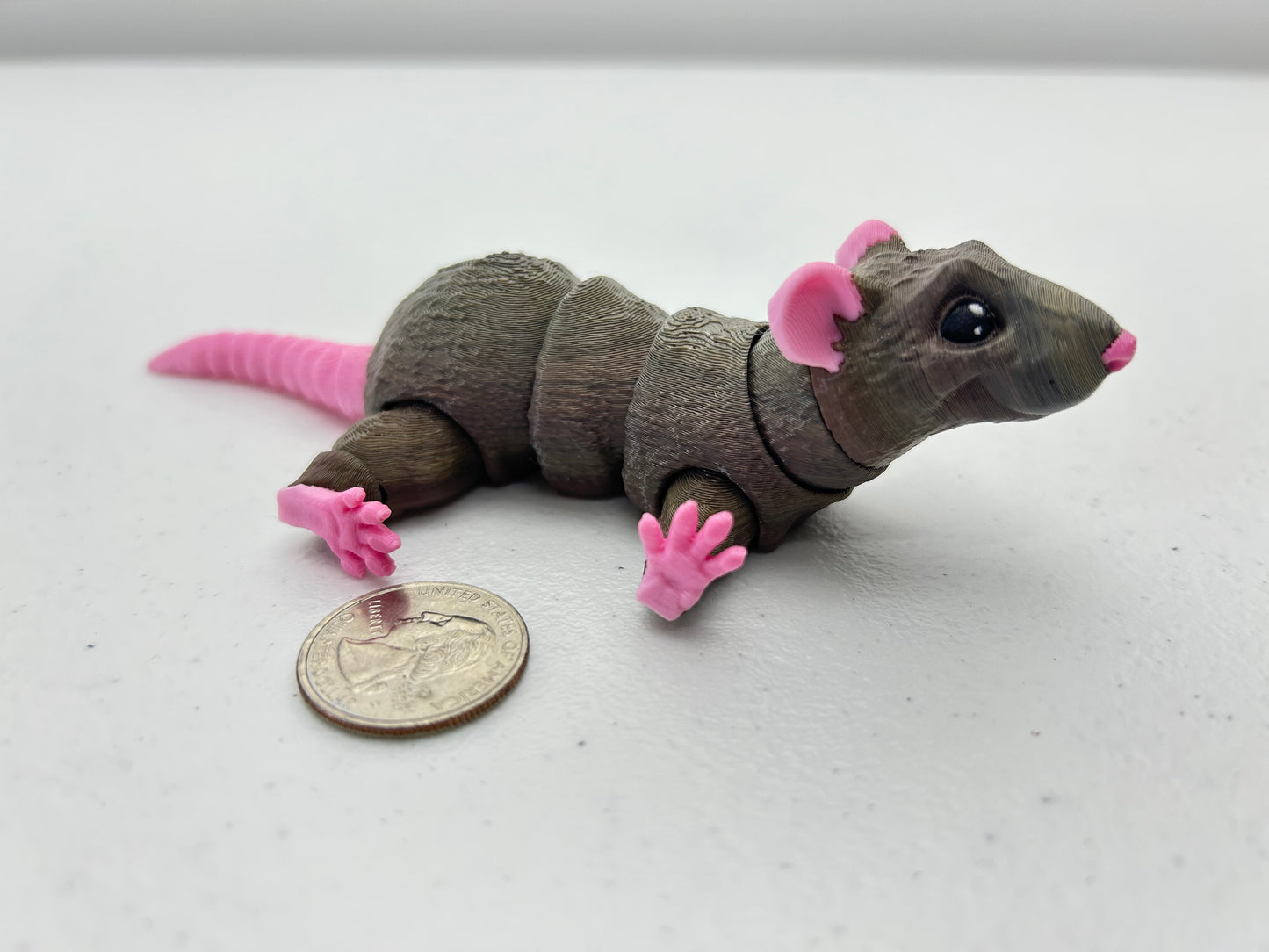 Rat