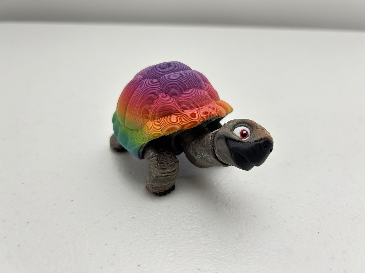 Tortoise