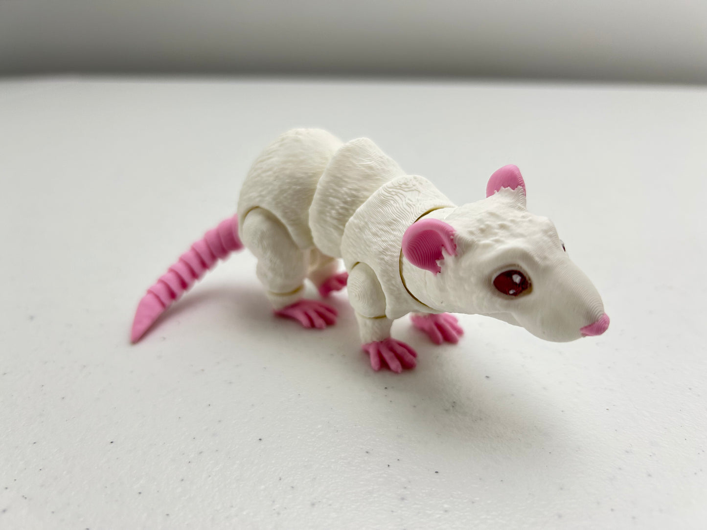 Rat