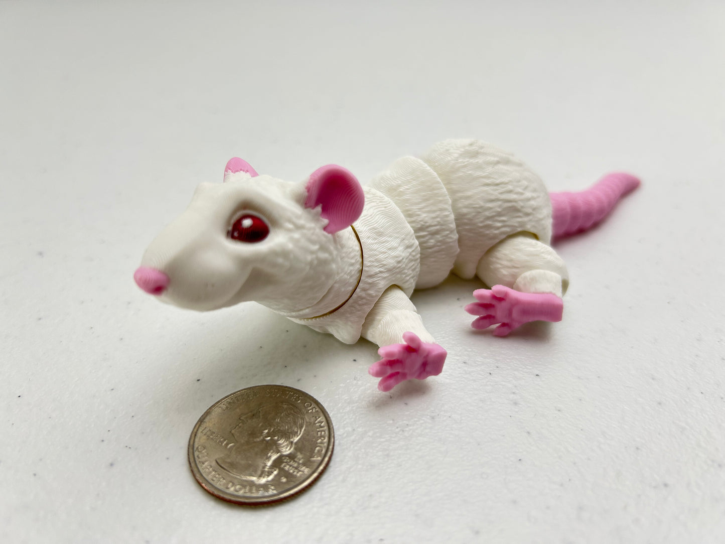 Rat