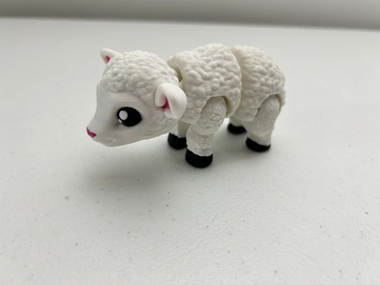 Sheep