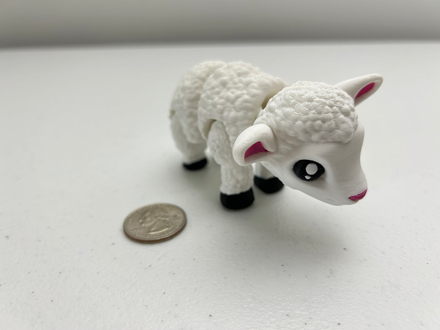 Sheep