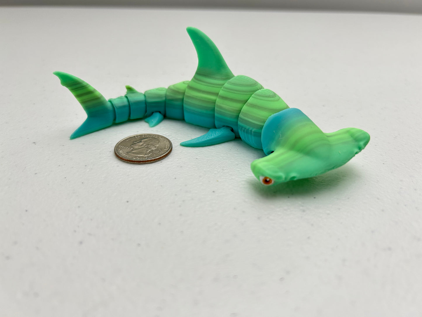 Hammer Head Shark