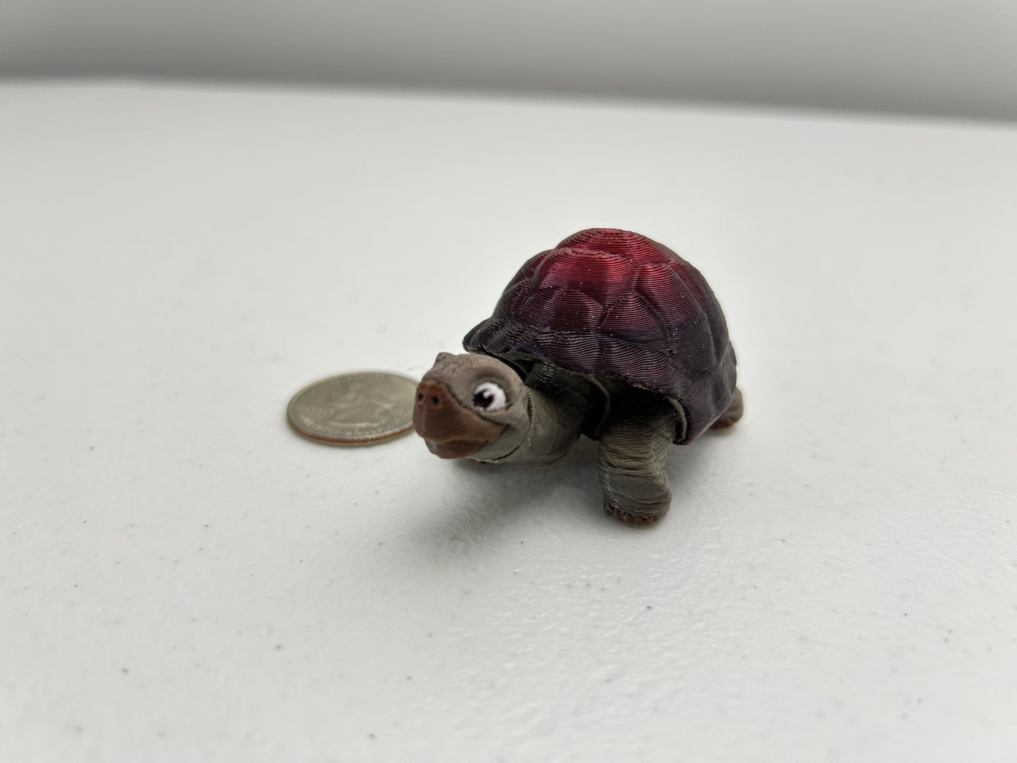 Tortoise