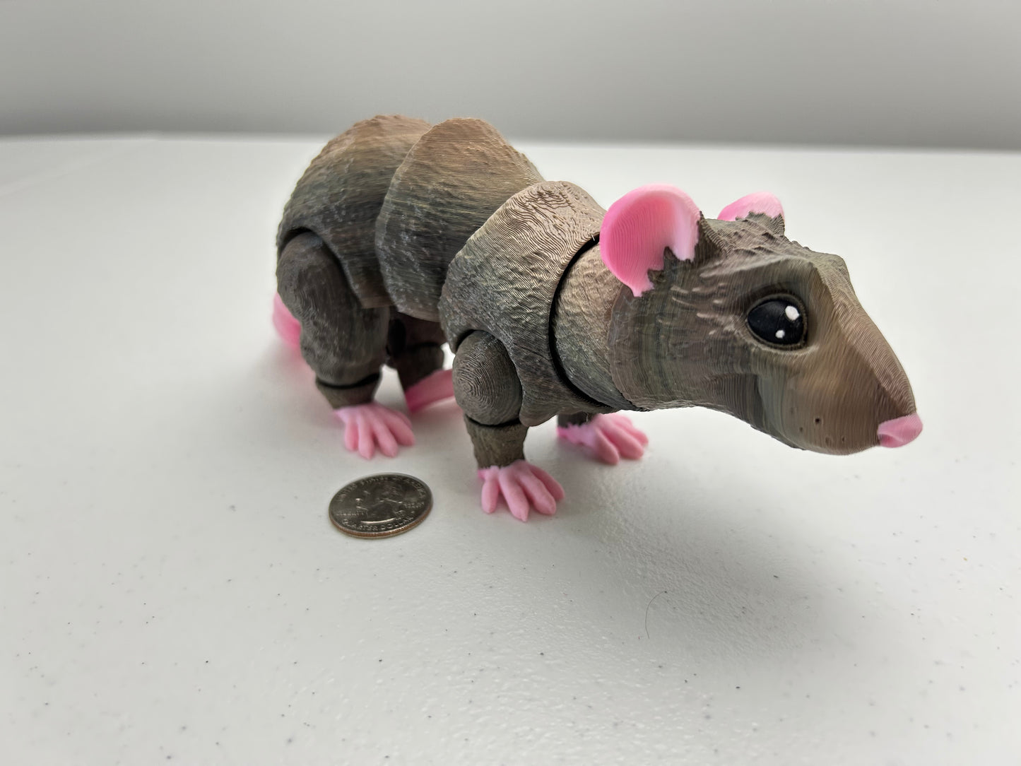 Rat