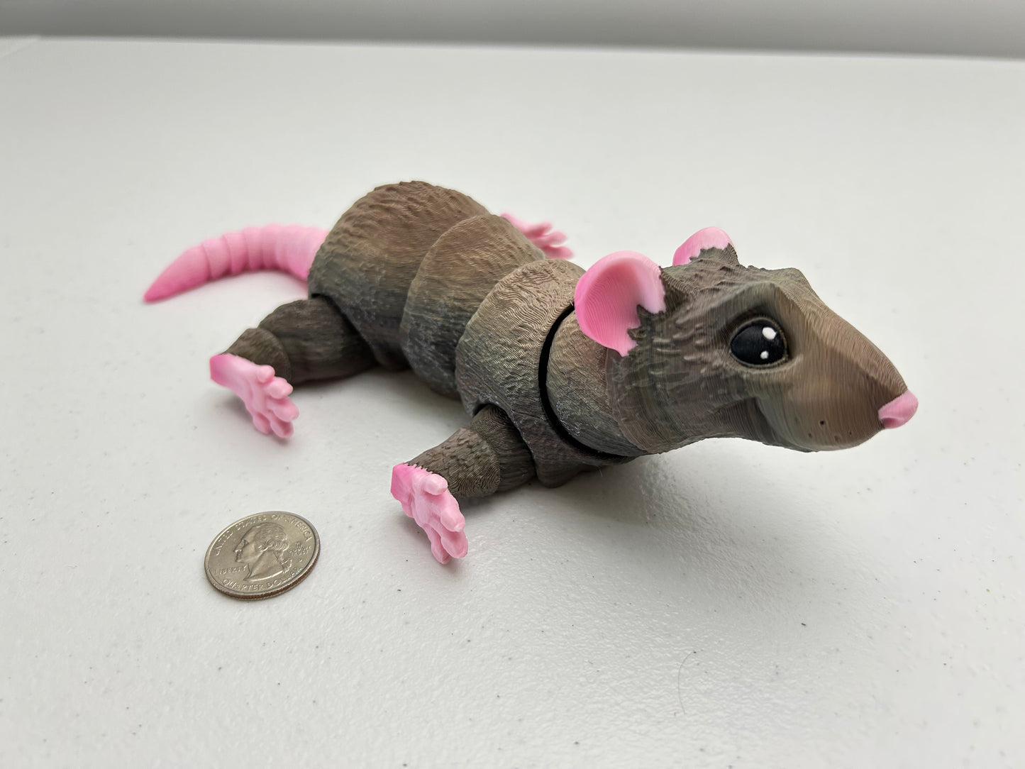 Rat