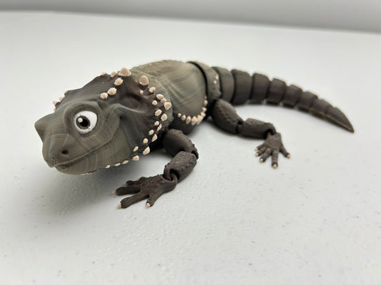 Bearded Dragon Lizard
