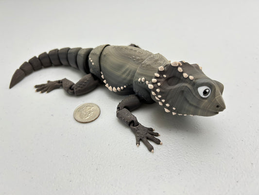 Bearded Dragon Lizard