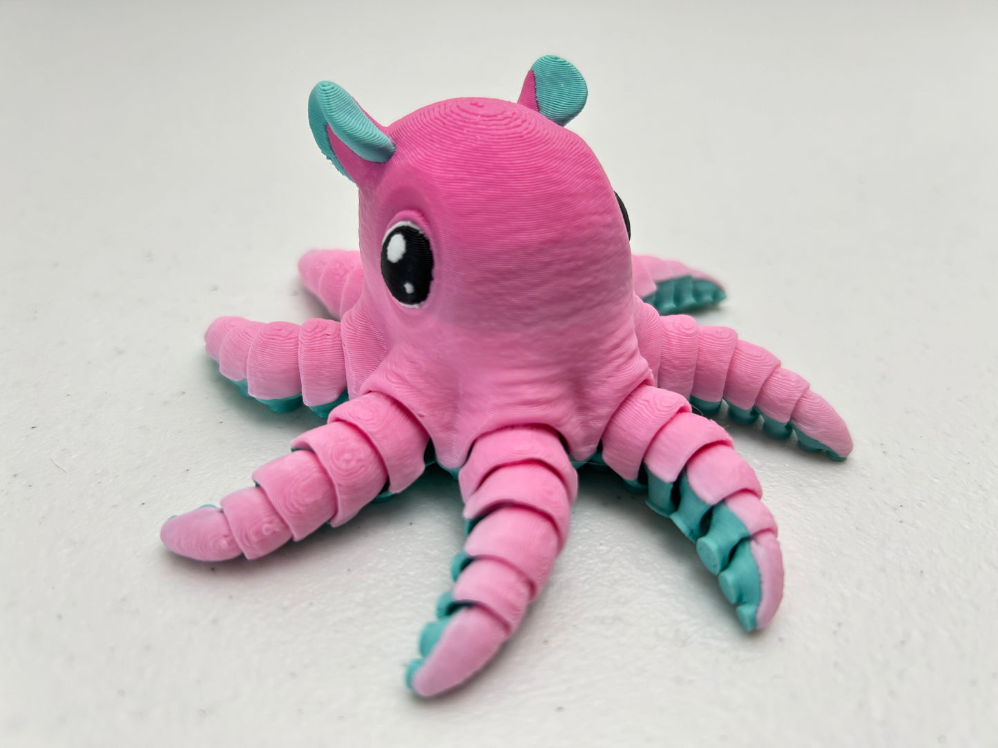 Flapjack Octopus