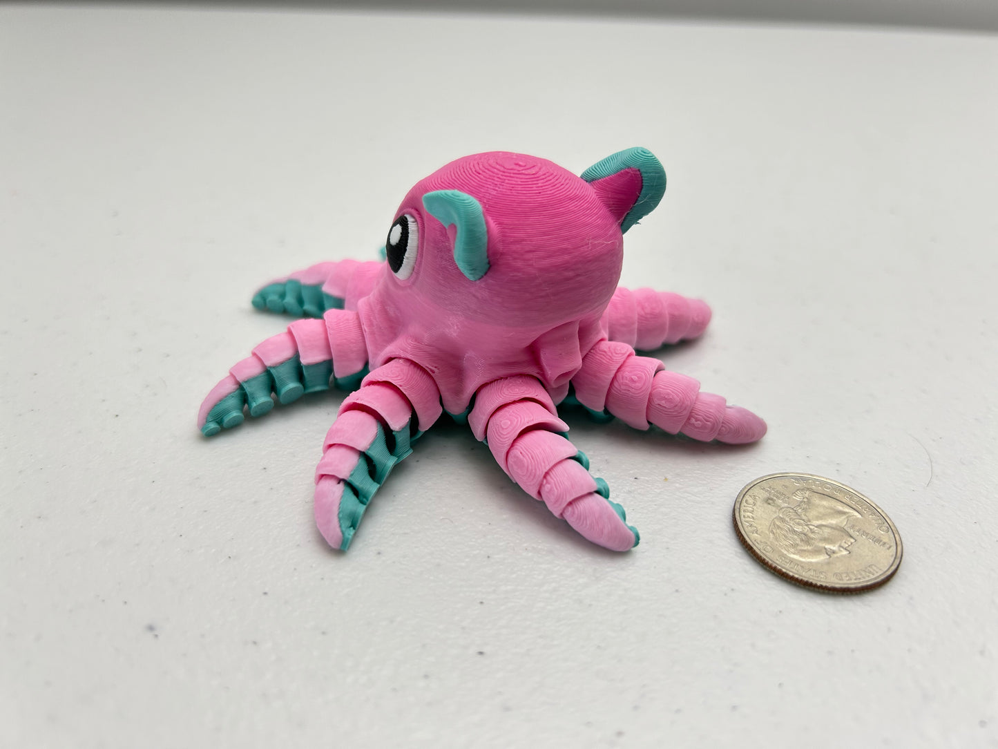 Flapjack Octopus
