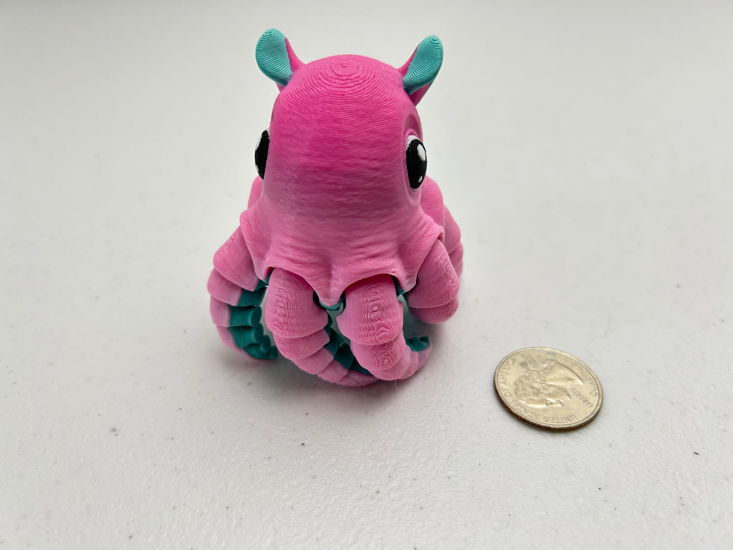 Flapjack Octopus