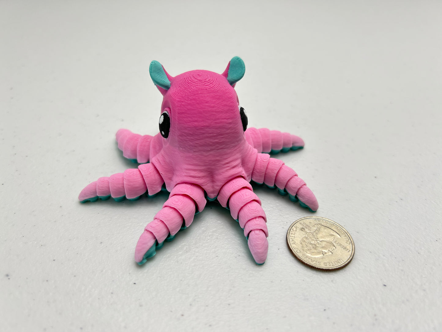 Flapjack Octopus