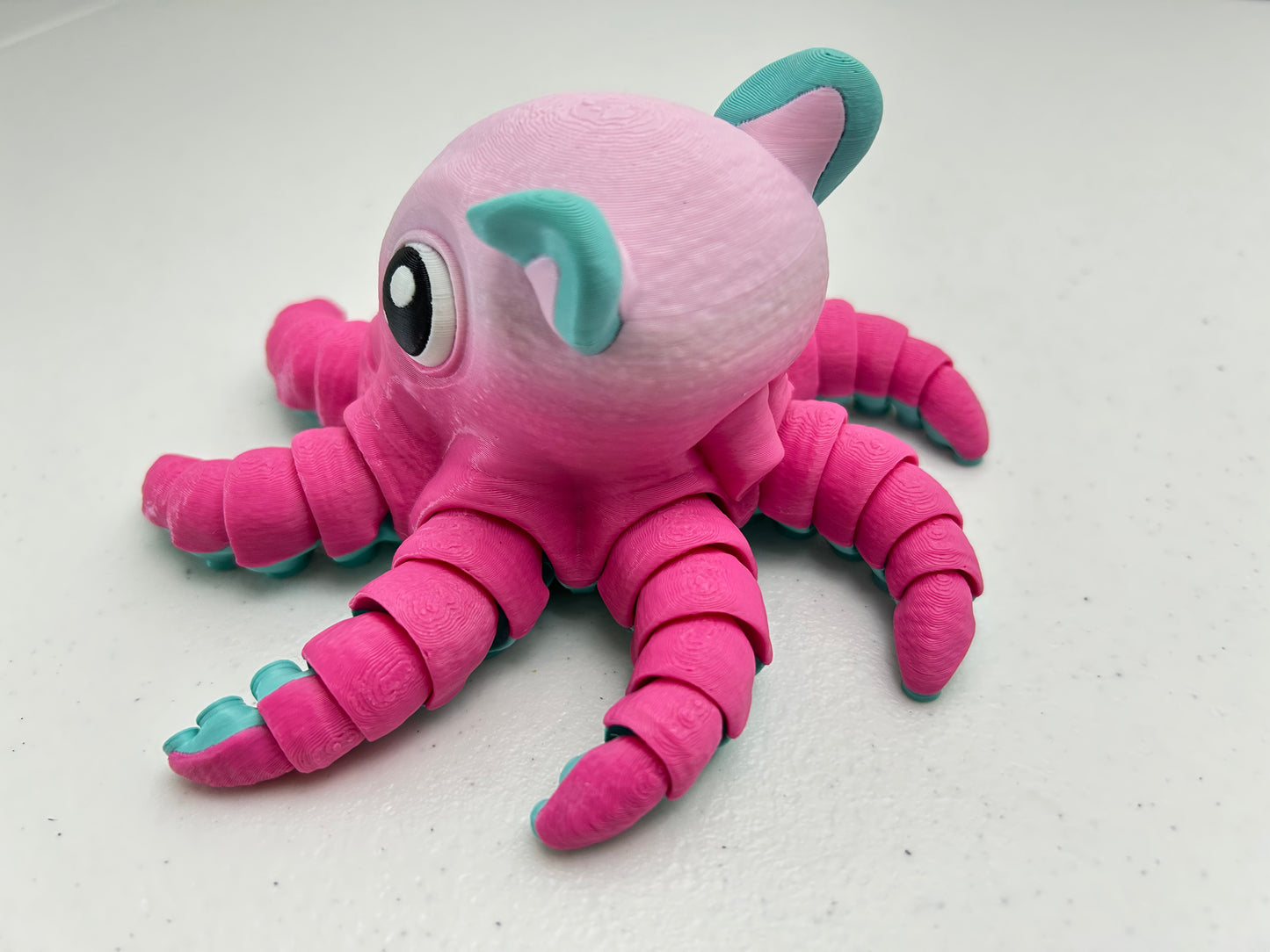 Flapjack Octopus