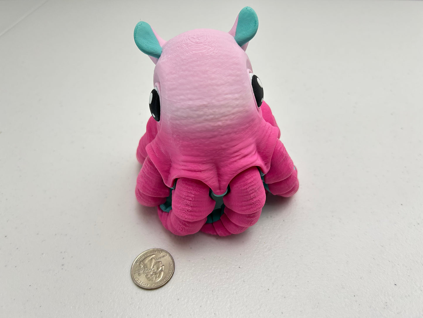 Flapjack Octopus