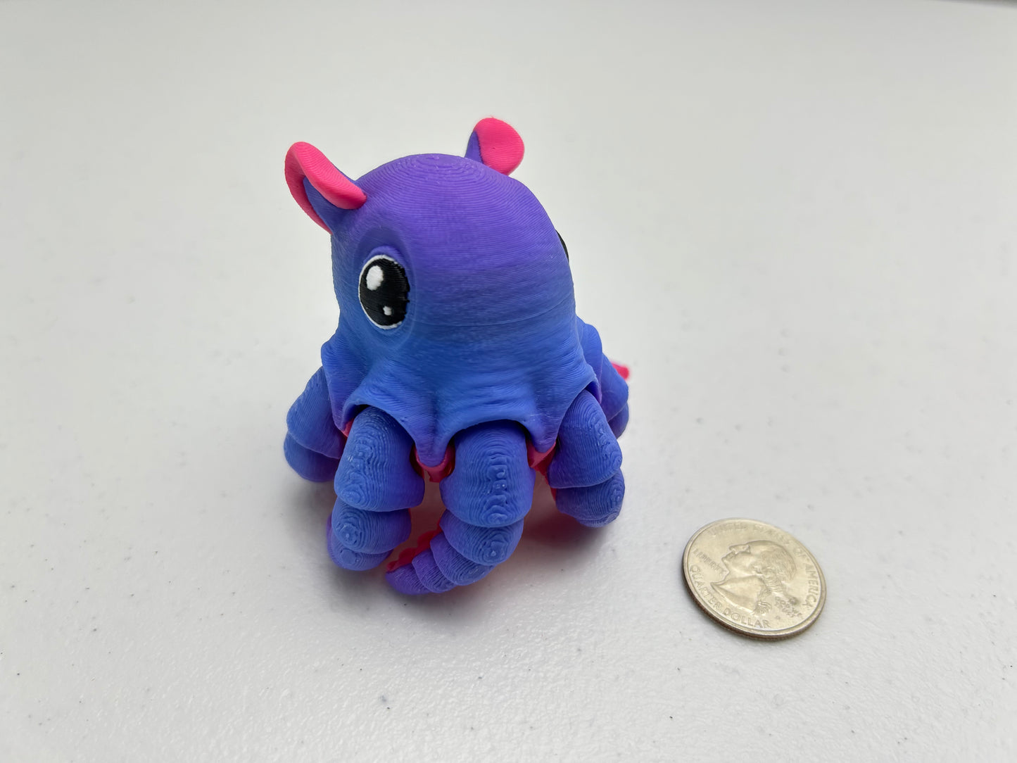 Flapjack Octopus