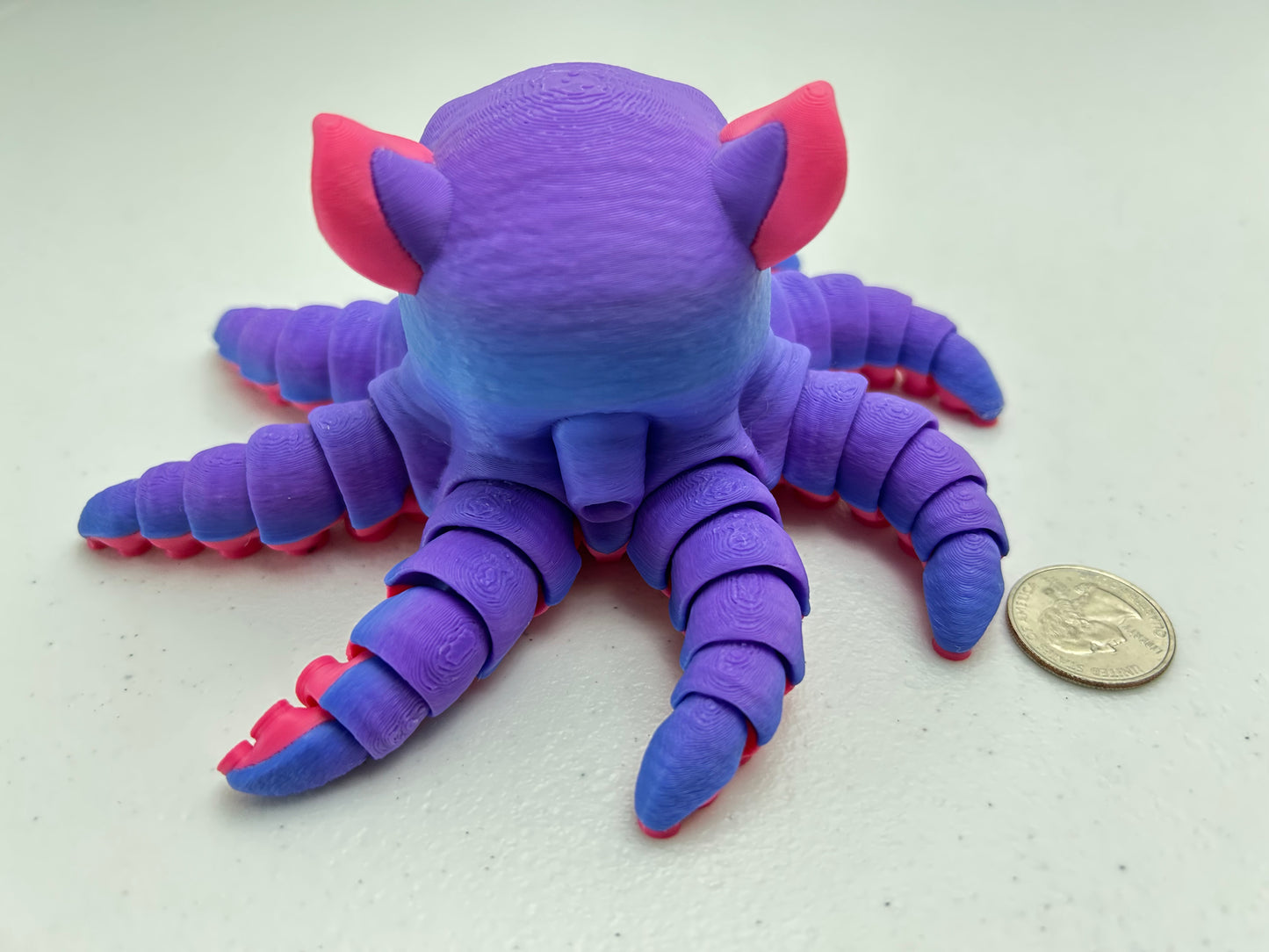 Flapjack Octopus