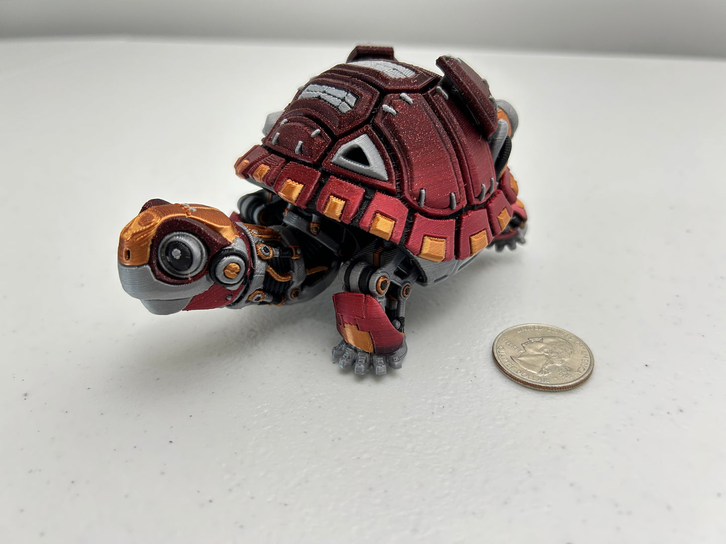 Robotortoise a Robot Tortoise