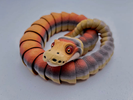 Ball Python Snake