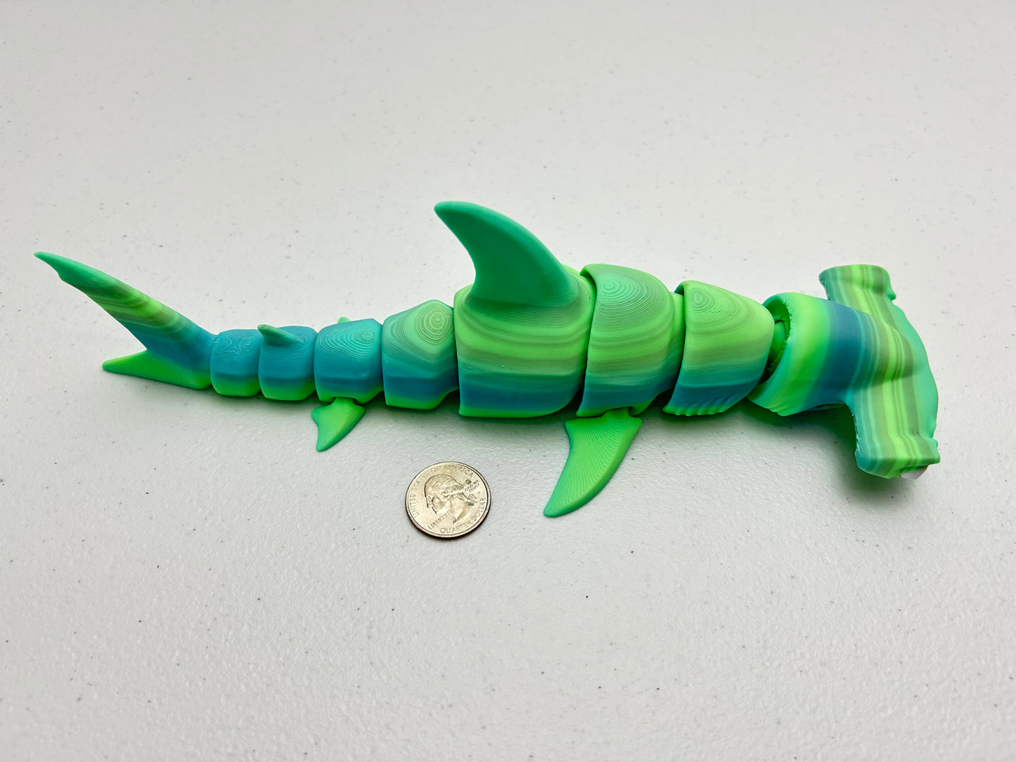 Hammer Head Shark